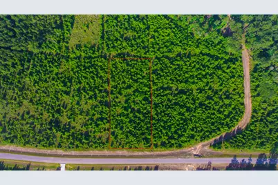16151 Forest Mill Rd Road, Willis, TX 77378 - Photo 12