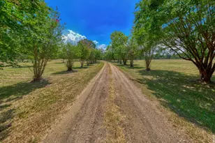 1630 Co Rd 219, Brookeland, TX 75931 - Photo 30