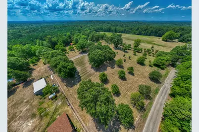 1630 County Road 219, Brookeland, TX 75931 - Photo 6