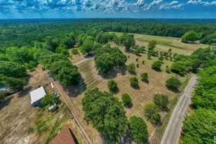 1630 Co Rd 219, Brookeland, TX 75931 - Photo 6