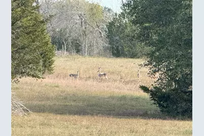 1399 Star Hill Road, New Ulm, TX 78950 - Photo 36