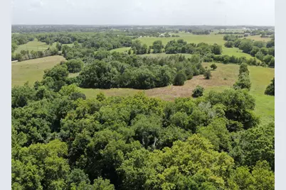 1399 Star Hill Road, New Ulm, TX 78950 - Photo 4