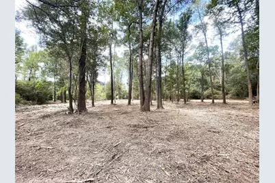 00 Redbud, Conroe, TX 77302 - Photo 6