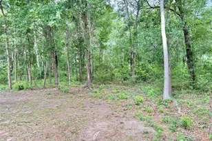 1184 County Rd 2298, Cleveland, TX 77327 - Photo 6