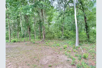 1184 County Road 2298, Cleveland, TX 77327 - Photo 6