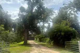 5425 County Rd 961, Brazoria, TX 77422 - Photo 18