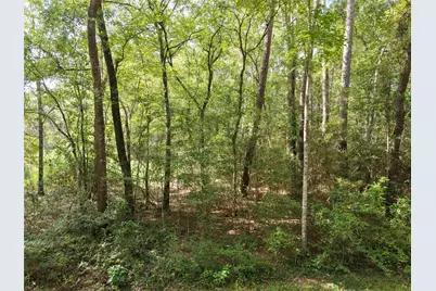 16383 Largent Drive, Plantersville, TX 77363 - Photo 4