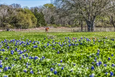 6510 Ganske Road, Burton, TX 77835 - Photo 46