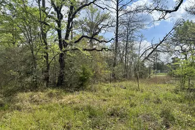 251 William Thomas Road, Huntsville, TX 77320 - Photo 2