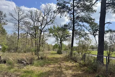 251 William Thomas Road, Huntsville, TX 77320 - Photo 4