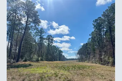 4300 Fm 256 N, Woodville, TX 75979 - Photo 38