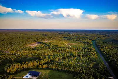 Tbd Lot 4 Fm 1276, Livingston, TX 77351 - Photo 6