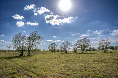 Tbd Trenckmann Road, Sealy, TX 77474 - Photo 6