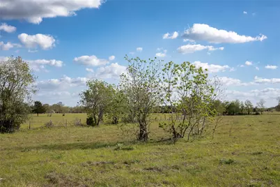 Tbd Trenckmann Road, Sealy, TX 77474 - Photo 8