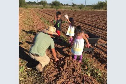 418 Apple Core Way, Missouri City, TX 77459 - Photo 30