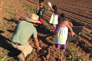 418 Apple Core Wy, Richmond, TX 77459 - Photo 30