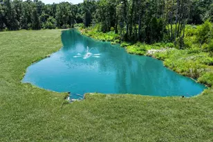 150 Quiet Springs Trl, Willis, TX 77378 - Photo 40
