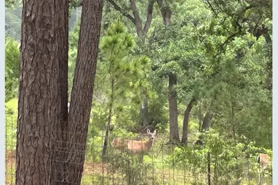 5455 N Us-77, La Grange, TX 78945 - Photo 12