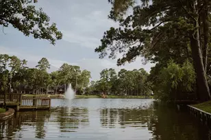 25722 Overlake Dr, Spring, TX 77380 - Photo 46