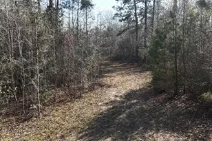 16086 Magnolia Park, Conroe, TX 77306 - Photo 14