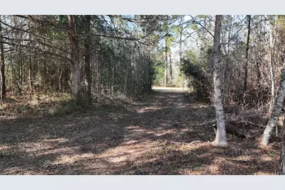 16086 Magnolia Park, Conroe, TX 77306 - Photo 8