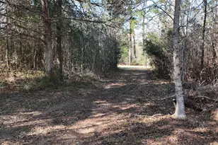 16086 Magnolia Park, Conroe, TX 77306 - Photo 8