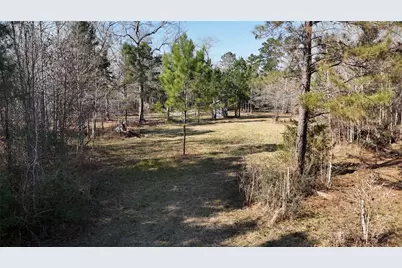 16086 Magnolia Park, Conroe, TX 77306 - Photo 12