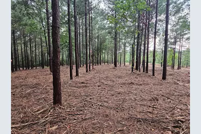 12082 and 12090 Compassion Lane, Willis, TX 77378 - Photo 4