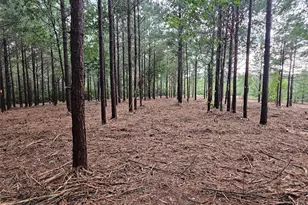 12082 and 12090 Compassion Ln, Willis, TX 77378 - Photo 4