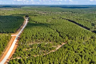 12082 and 12090 Compassion Ln, Willis, TX 77378 - Photo 2