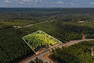 12082 and 12090 Compassion Ln, Willis, TX 77378 - Photo 10