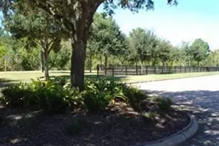 738 Memorial Mews St, Houston, TX 77079 - Photo 6