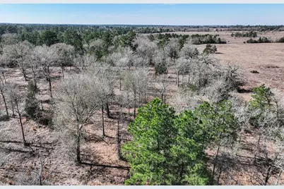 14.5 Acres Westview Drive, Huntsville, TX 77320 - Photo 22