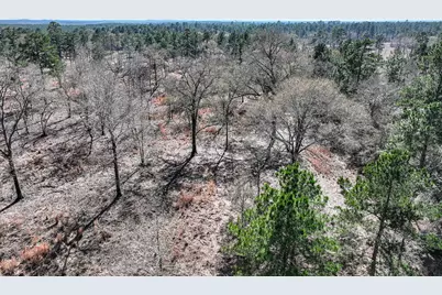 14.5 Acres Westview Drive, Huntsville, TX 77320 - Photo 6