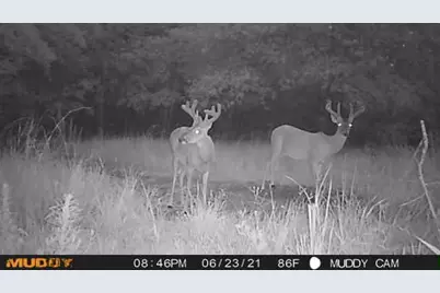 0 Pr 3420, Jewett, TX 75846 - Photo 2