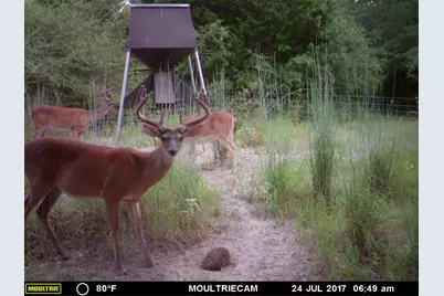0 Pr 3420, Jewett, TX 75846 - Photo 6