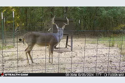 0 Pr 3420, Jewett, TX 75846 - Photo 14