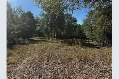 0 Pr 3420, Jewett, TX 75846 - Photo 24