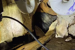 2328 Colleen Dr, Pearland, TX 77581 - Photo 24