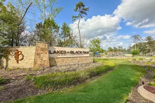 164 Valiant Ridge Trail, Magnolia, TX 77354 - Photo 32