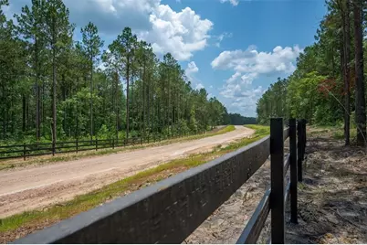 Tbd 18 B Timberland Branch Drive, Woodville, TX 75979 - Photo 1