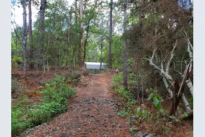 331 County Road 3240, Colmesneil, TX 75938 - Photo 40