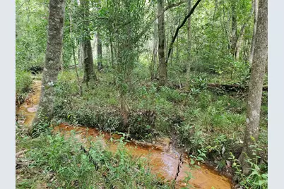 331 County Road 3240, Colmesneil, TX 75938 - Photo 44