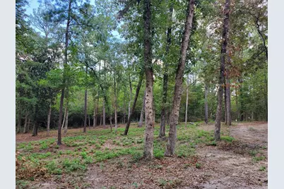 331 County Road 3240, Colmesneil, TX 75938 - Photo 46