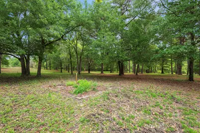 10314 County Road 417A, Navasota, TX 77868 - Photo 30