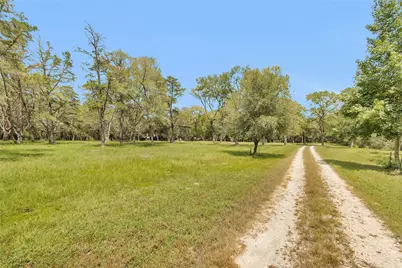 10314 County Road 417A, Navasota, TX 77868 - Photo 12