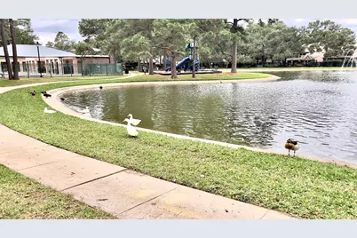 15807 Arbor Lake Drive, Tomball, TX 77377 - Photo 44