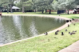 15807 Arbor Lake Dr, Tomball, TX 77377 - Photo 46