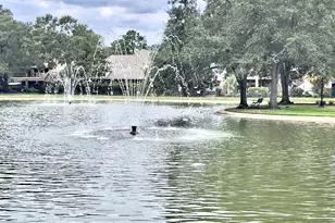 15807 Arbor Lake Dr, Tomball, TX 77377 - Photo 42