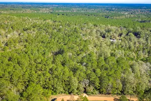 Lot 2 & 3 Portico, Livingston, TX 77351 - Photo 16